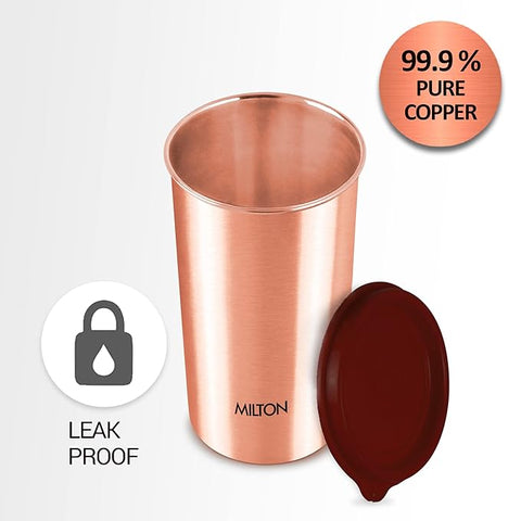 Milton Copper Tumbler - Drinking Water