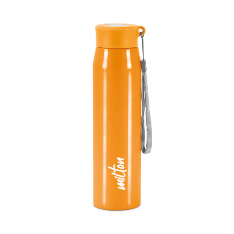 Milton Handy Stainless Steel Bottle